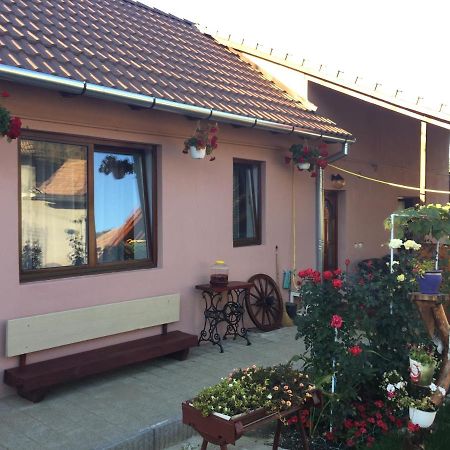Casa Rustica Cu Terasa Villa Medias Bagian luar foto