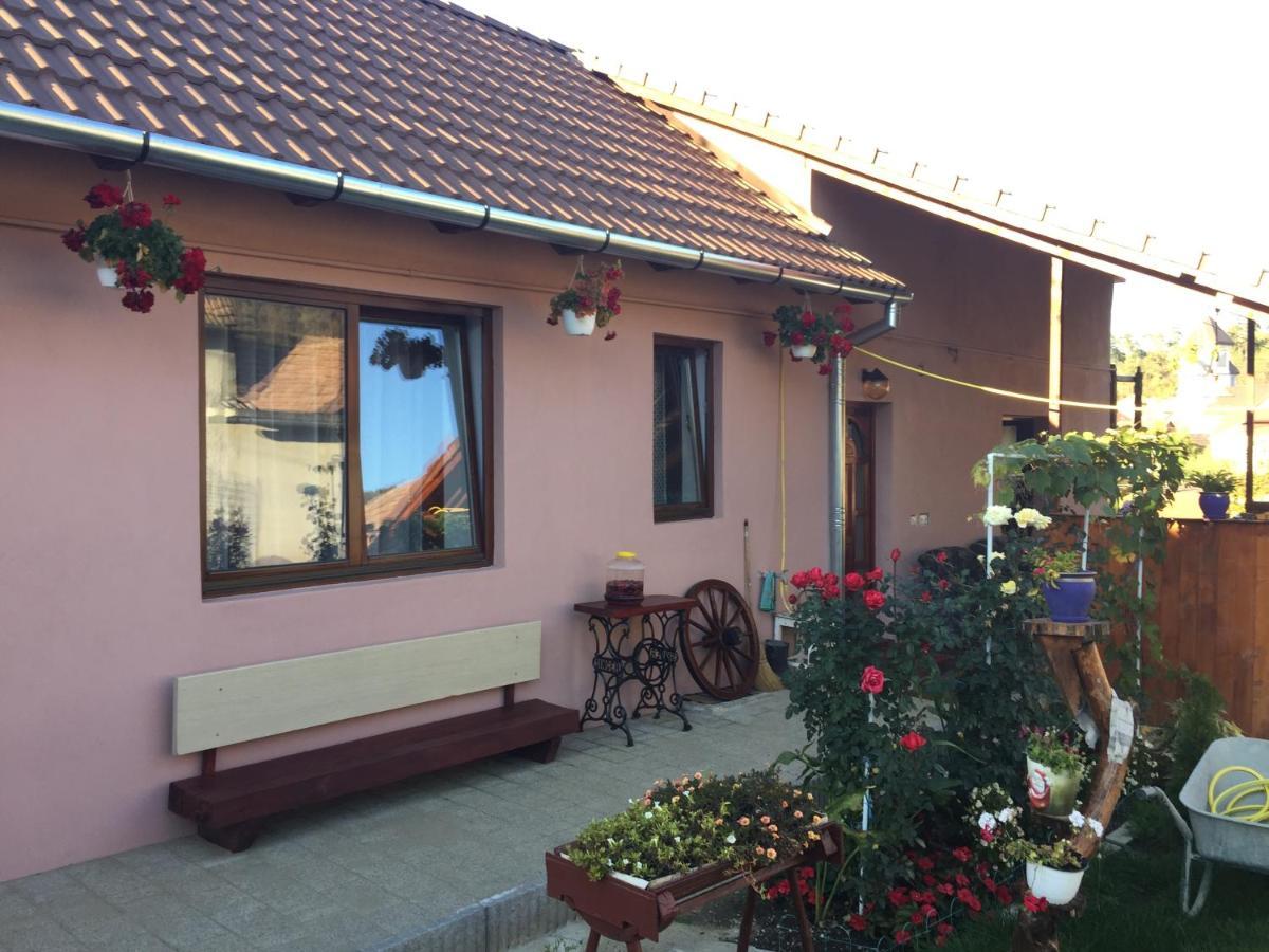 Casa Rustica Cu Terasa Villa Medias Bagian luar foto