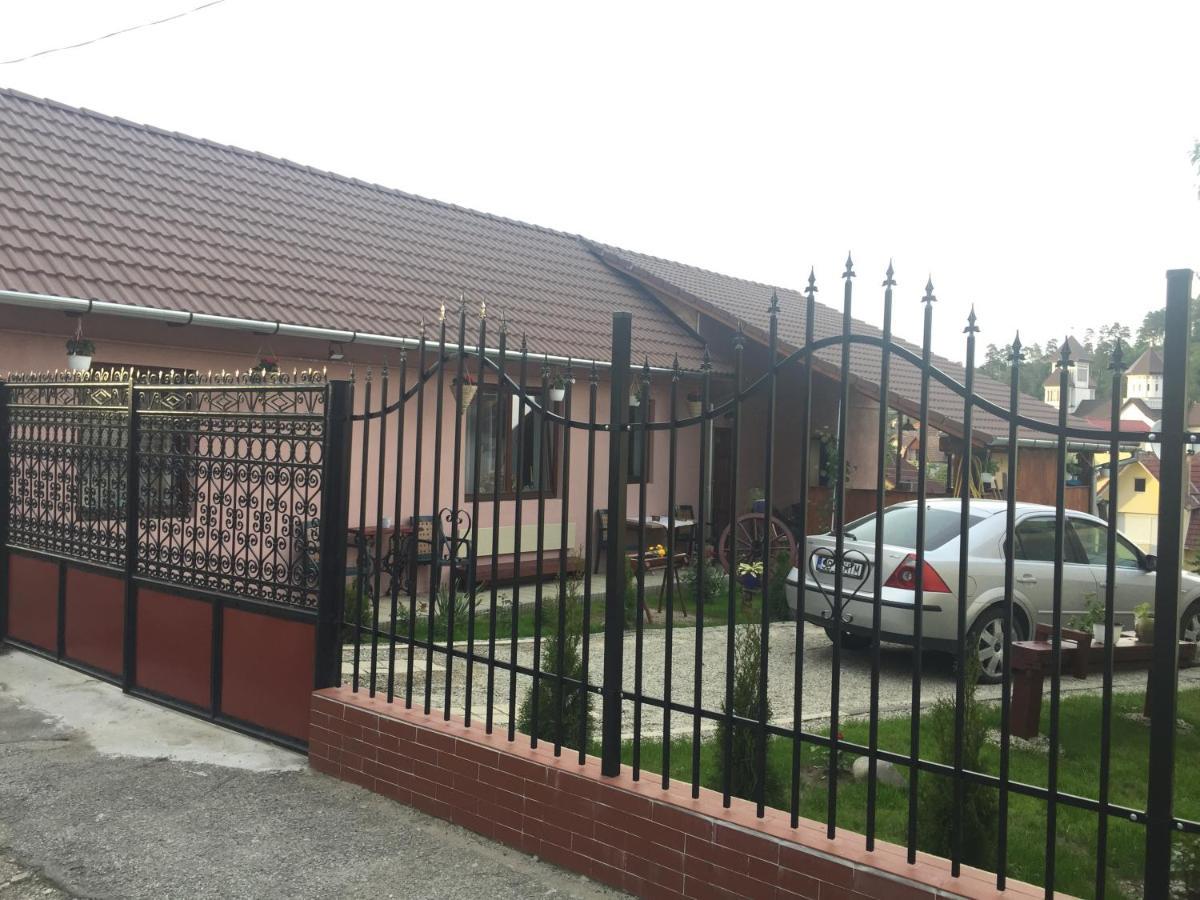Casa Rustica Cu Terasa Villa Medias Bagian luar foto