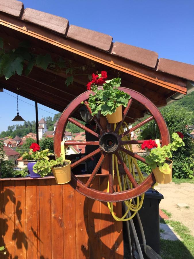 Casa Rustica Cu Terasa Villa Medias Bagian luar foto