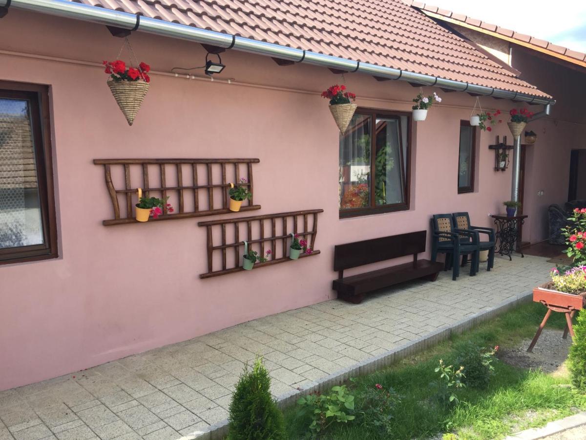 Casa Rustica Cu Terasa Villa Medias Bagian luar foto