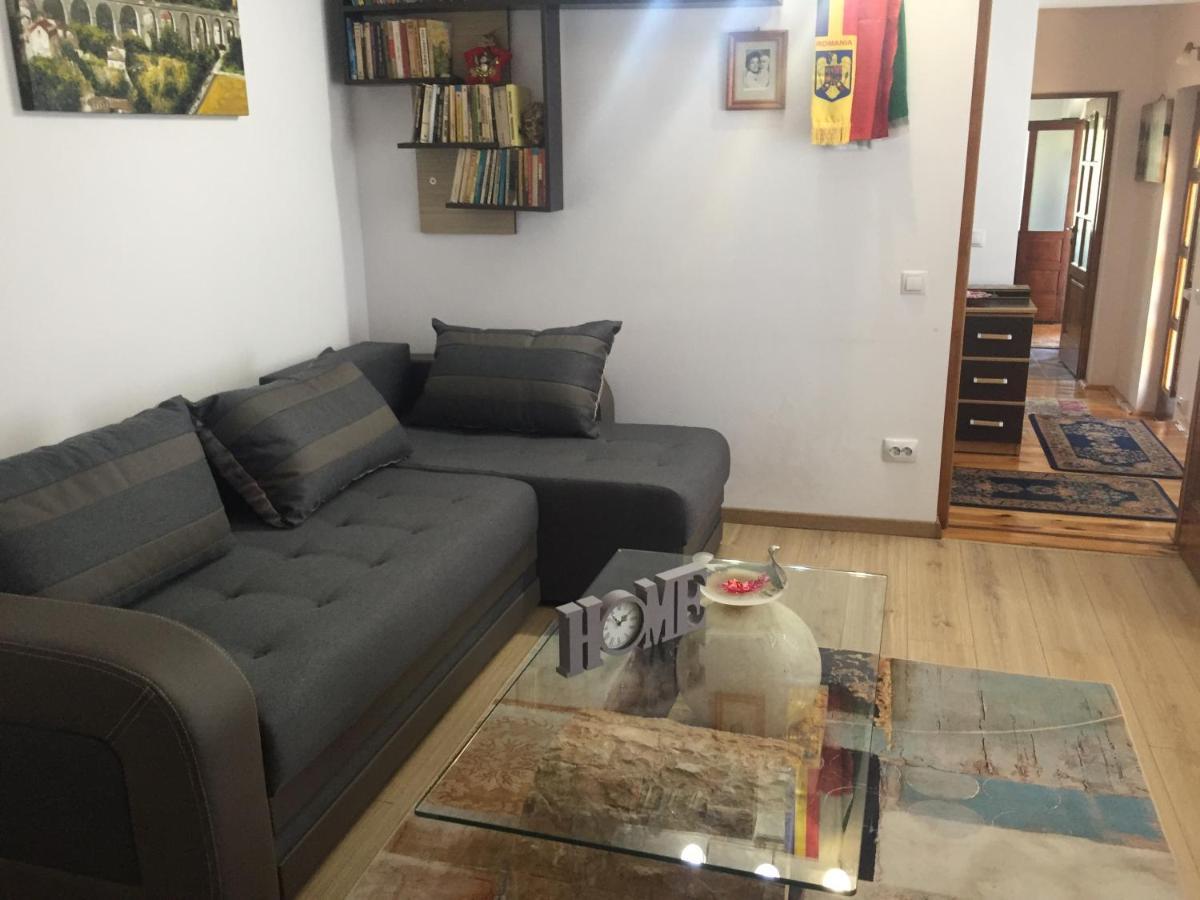Casa Rustica Cu Terasa Villa Medias Bagian luar foto